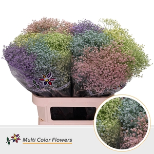 Gyps Fijn Pastel Mix