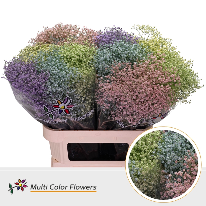 <h4>Gyps Fijn Pastel Mix</h4>