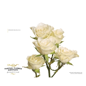 Rosa Spray Parfum Cream Majolica