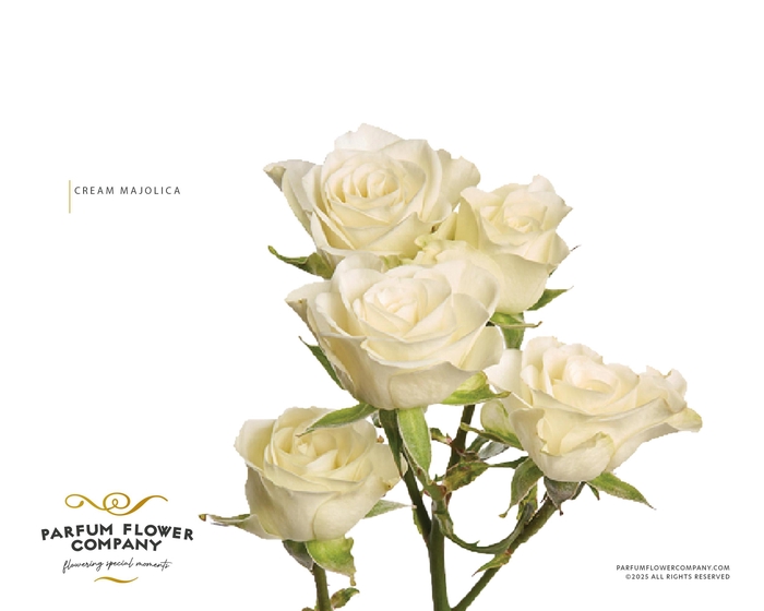 Rosa Spray Parfum Cream Majolica