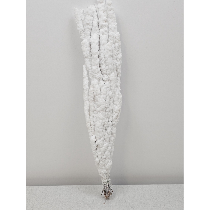 <h4>KERST BETULA PER TAK VLOK WIT</h4>