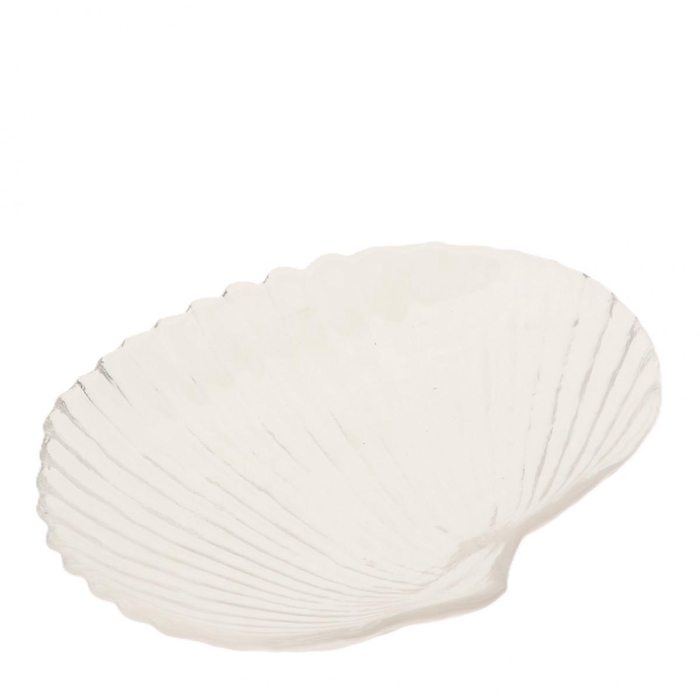 <h4>Maritime Glass shell plate 18*15*3.5cm</h4>