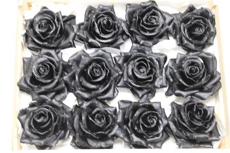 <h4>Wax Roos Zwart</h4>