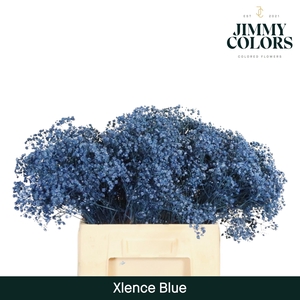 Gyps Xlence L60 Blue