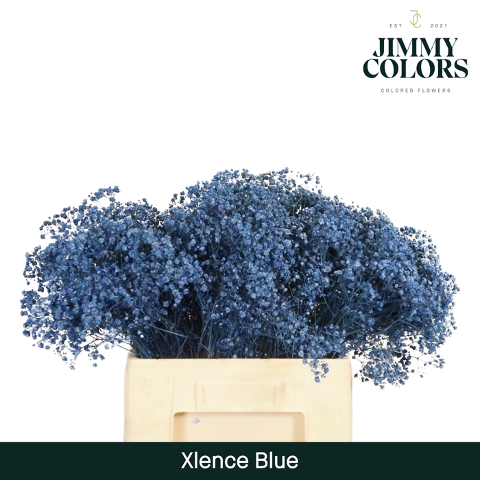 <h4>Gyps Xlence L60 Blue</h4>