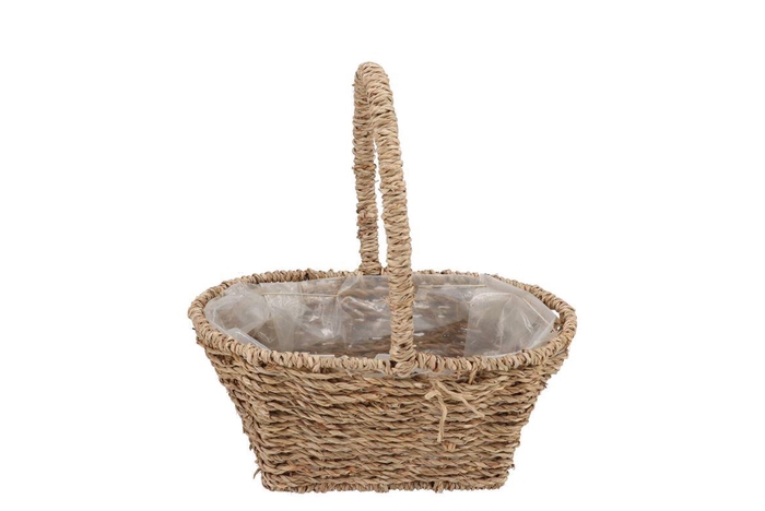 <h4>Seagrass Flower Basket W Handle 25x16x25cm</h4>