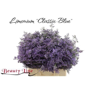LIM SAF CLASSIC BLUE