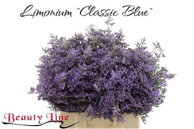 <h4>LIM SAF CLASSIC BLUE</h4>