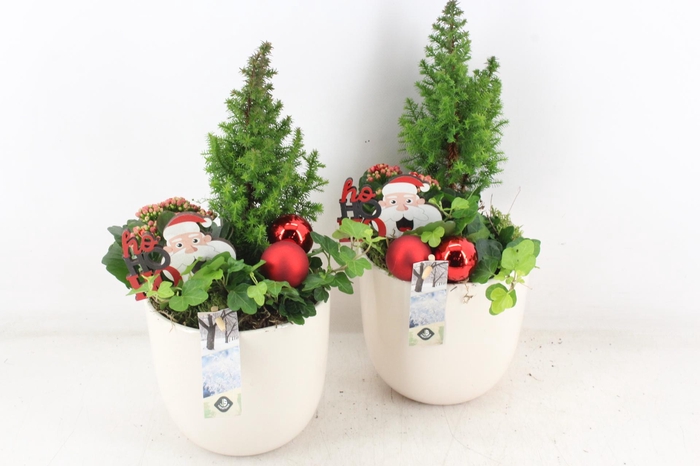 <h4>arr2 JS - Ker. bloempot creme</h4>