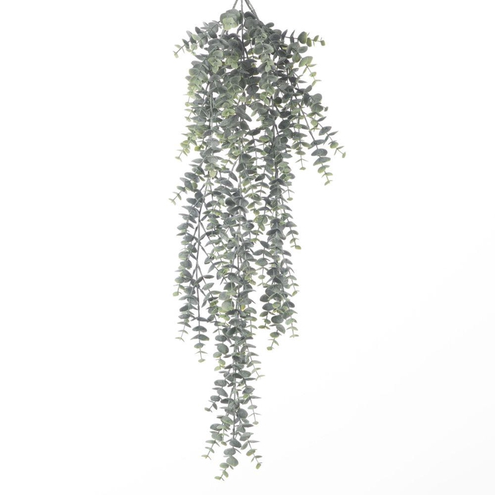 <h4>AF Hang Bush Eucalyptus x5 L78</h4>
