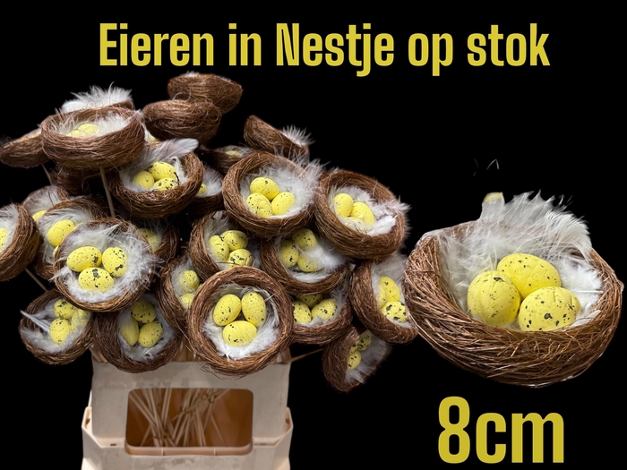 <h4>HUIS EN TUINDECO H%</h4>