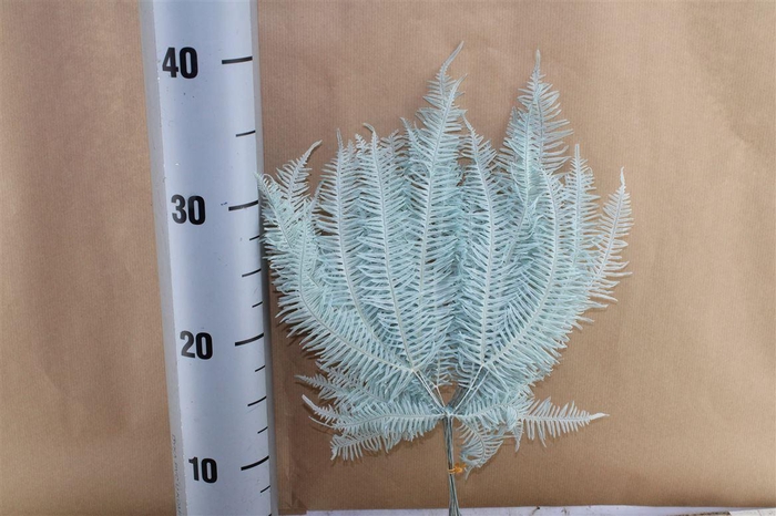 <h4>Japan Deco Mountain Fern Blue 10 Pcs</h4>