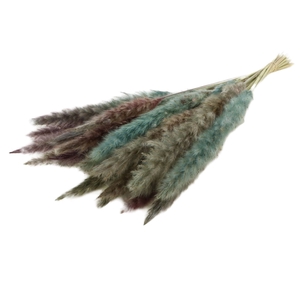 DRY FLUFFY PAMPAS BLUE PBS