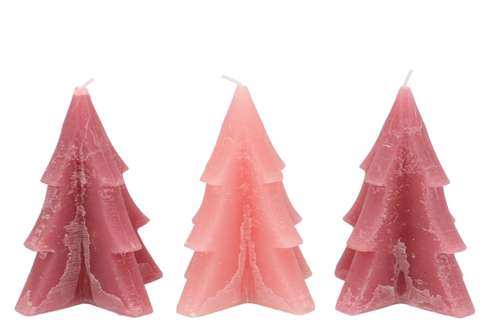 Candle Frosty Pine Tree Sweets Pink Mix12x15cm Ass