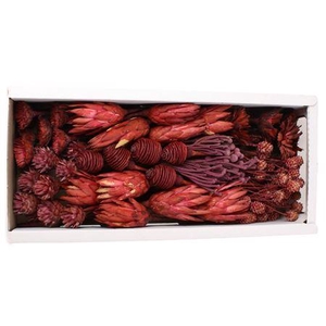 Exotic Assorti Erika ( 70 St )