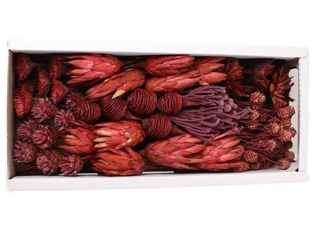 <h4>Exotic Assorti Erika ( 70 St )</h4>