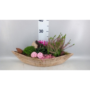 Arr.   Tuinplanten L%