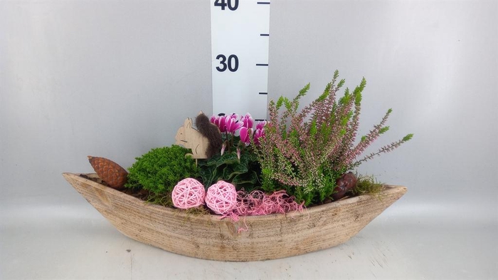 <h4>Arr.   Tuinplanten L%</h4>