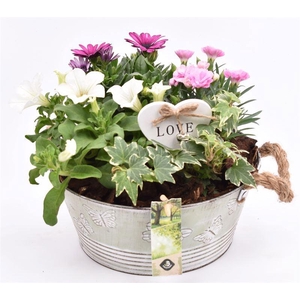 Zink schaal vlinderopdr. 27cm