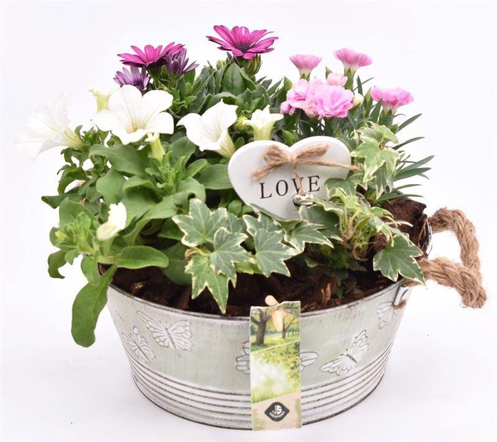 <h4>Zink schaal vlinderopdr. 27cm</h4>