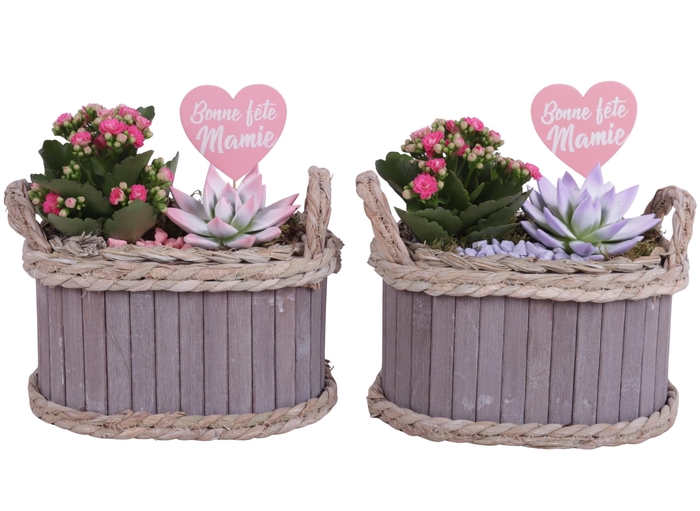 <h4>Grandmothers Day Arr. Indoor Wooden Pot Oval Waterhyacint Ø22cm</h4>
