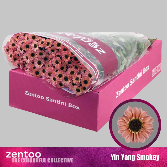 <h4>CHR S YIN YANG SMOKEY</h4>