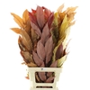 Pres Chestnut Leaf Mix