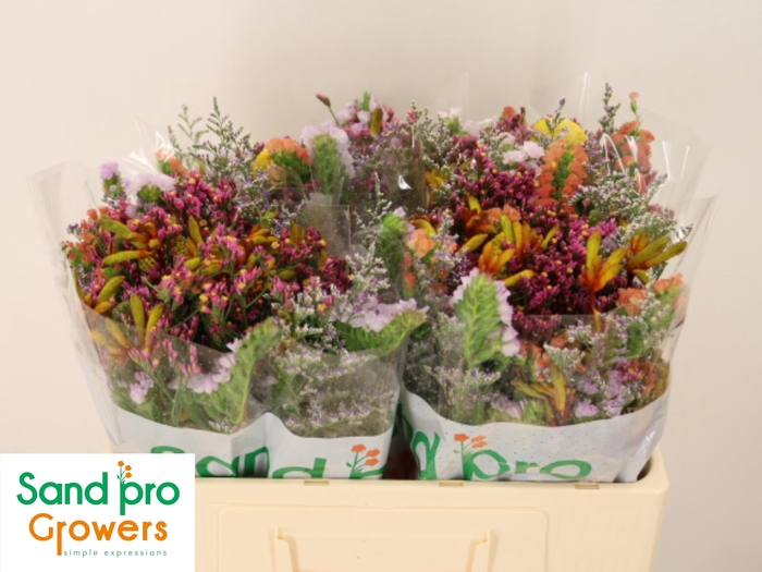 <h4>GEM ZOMERBOEKET</h4>