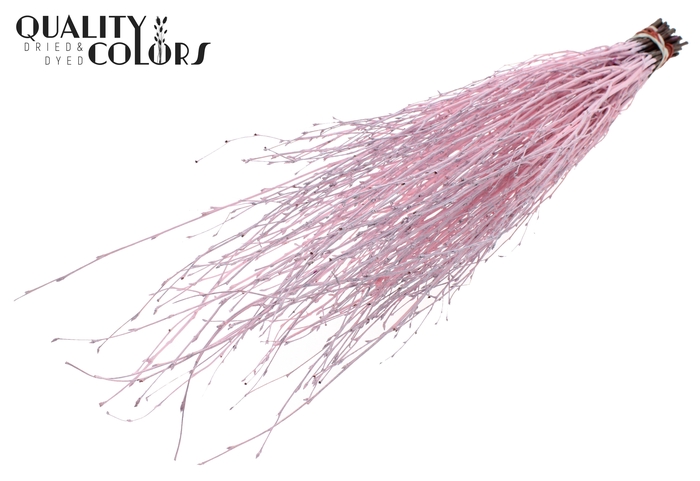 Birch 70cm 10stems per bunch Light Pink