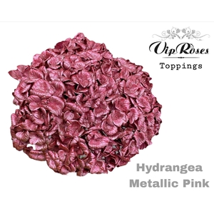 Hydr M Metallic Rose