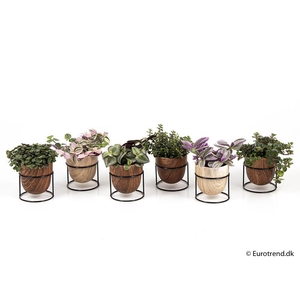 E 4673 trælook på stativ