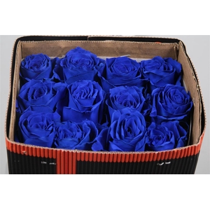 R Gr Blue Ec
