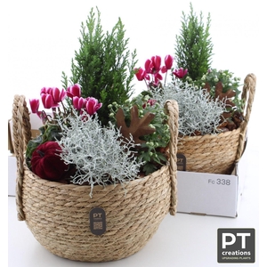 ARR TUINPLANTEN H%