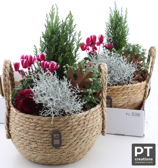 <h4>ARR TUINPLANTEN H%</h4>