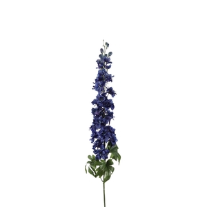 Delphinium 102cm