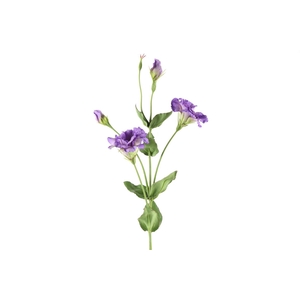 Af Lisianthus L93cm Lila