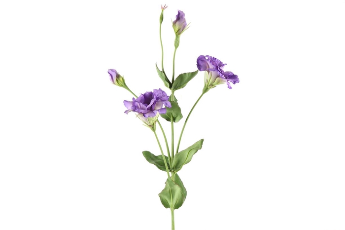 <h4>Af Lisianthus L93cm Lila</h4>