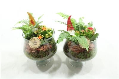 <h4>8291 GLAS OP VOET+ PADDOS</h4>