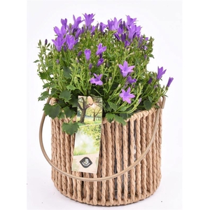 Touw lantaarn met glas 13cm h11.5cm