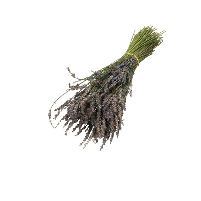 <h4>Droogbloem Lavendel 30cm 100g</h4>