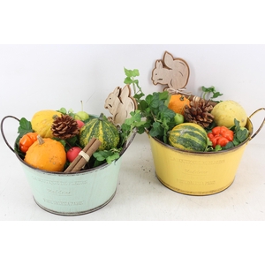 arr4 Sierfruit JS - Zink rond colour print