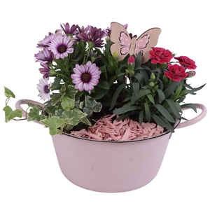 Spring Flower Arr. Outdoor Zinc Bowl with Handles Pink Ø22cm 3PP