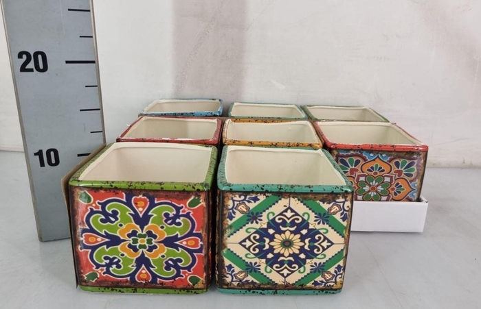 <h4>HUIS EN TUINDECO H%</h4>