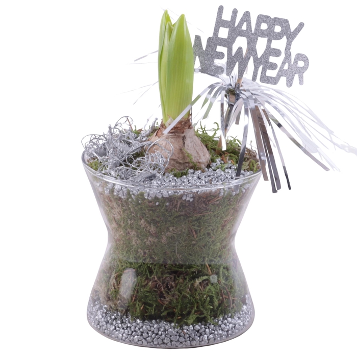 <h4>New Year Arr. Hyacint Glass Hourglass Ø13cm 1PP</h4>