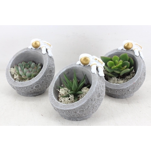 arr3 Demi - Moon landing x6