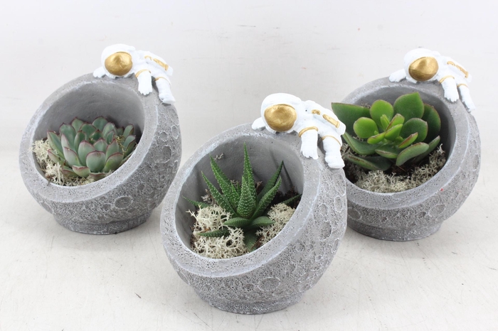 <h4>arr3 Demi - Moon landing x6</h4>