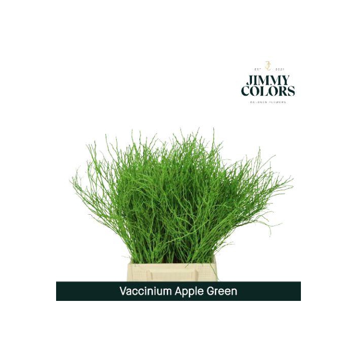<h4>Vaccinium L50 Klbh. Appelgroen</h4>