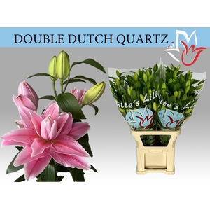 LI OR DU DD QUARTZ