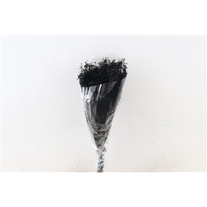 Dried Brooms Black Bunch