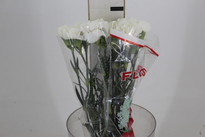 <h4>CRAVO PARU 060 CM</h4>